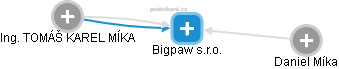 Bigpaw s.r.o. - náhled vizuálního zobrazení vztahů obchodního rejstříku
