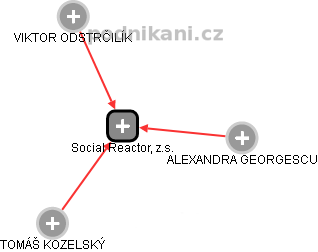 Social Reactor, z.s. - náhled vizuálního zobrazení vztahů obchodního rejstříku