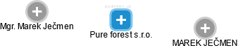 Pure forest s.r.o. - náhled vizuálního zobrazení vztahů obchodního rejstříku