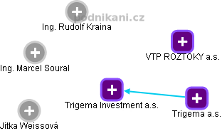 Trigema Investment a.s. - náhled vizuálního zobrazení vztahů obchodního rejstříku