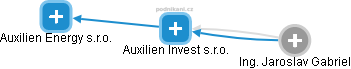 Auxilien Invest s.r.o. - náhled vizuálního zobrazení vztahů obchodního rejstříku