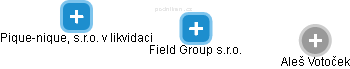 Field Group s.r.o. - náhled vizuálního zobrazení vztahů obchodního rejstříku