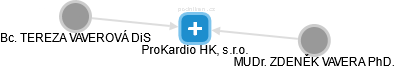 ProKardio HK, s.r.o. - náhled vizuálního zobrazení vztahů obchodního rejstříku