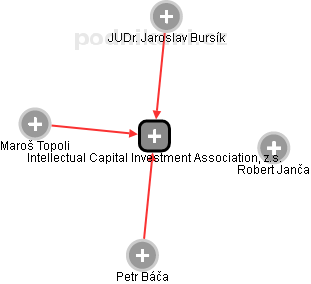 Intellectual Capital Investment Association, z.s. - náhled vizuálního zobrazení vztahů obchodního rejstříku