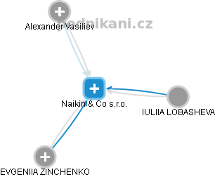 Naikin & Co s.r.o. - náhled vizuálního zobrazení vztahů obchodního rejstříku
