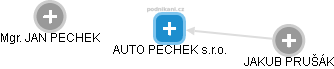 AUTO PECHEK s.r.o. - náhled vizuálního zobrazení vztahů obchodního rejstříku
