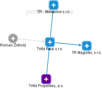 Trifid Real s.r.o. - náhled vizuálního zobrazení vztahů obchodního rejstříku