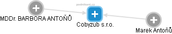 Cobyzub s.r.o. - náhled vizuálního zobrazení vztahů obchodního rejstříku