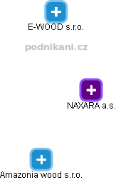 NAXARA a.s. - náhled vizuálního zobrazení vztahů obchodního rejstříku