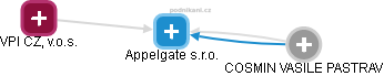 Appelgate s.r.o. - náhled vizuálního zobrazení vztahů obchodního rejstříku