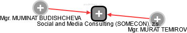 Social and Media Consulting (SOMECON), z.s. - náhled vizuálního zobrazení vztahů obchodního rejstříku