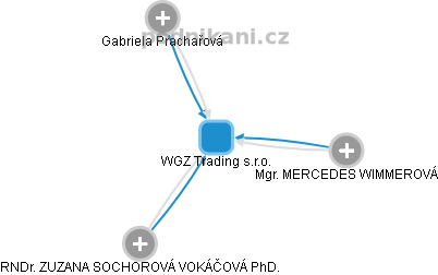 WGZ Trading s.r.o. - náhled vizuálního zobrazení vztahů obchodního rejstříku