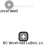 BC Veselí nad Lužnicí, z.s. - náhled vizuálního zobrazení vztahů obchodního rejstříku