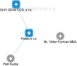 Pollex s.r.o. - náhled vizuálního zobrazení vztahů obchodního rejstříku