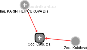 Cool Cats, z.s. - náhled vizuálního zobrazení vztahů obchodního rejstříku