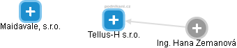 Tellus-H s.r.o. - náhled vizuálního zobrazení vztahů obchodního rejstříku