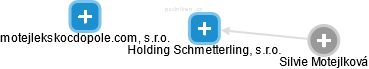 Holding Schmetterling, s.r.o. - náhled vizuálního zobrazení vztahů obchodního rejstříku