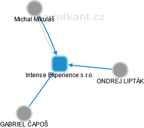 Intense Experience s.r.o. - náhled vizuálního zobrazení vztahů obchodního rejstříku
