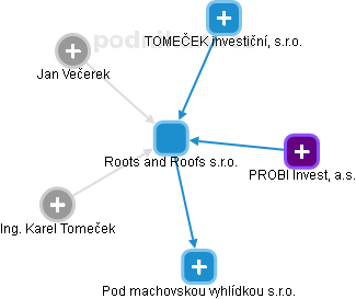 Roots and Roofs s.r.o. - náhled vizuálního zobrazení vztahů obchodního rejstříku