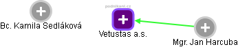 Vetustas a.s. - náhled vizuálního zobrazení vztahů obchodního rejstříku