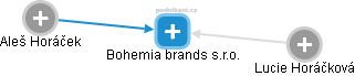 Bohemia brands s.r.o. - náhled vizuálního zobrazení vztahů obchodního rejstříku
