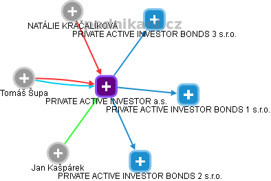 PRIVATE ACTIVE INVESTOR a.s. - náhled vizuálního zobrazení vztahů obchodního rejstříku