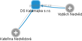 DS Kalamajka s.r.o. - náhled vizuálního zobrazení vztahů obchodního rejstříku