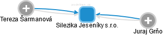 Silezika Jeseníky s.r.o. - náhled vizuálního zobrazení vztahů obchodního rejstříku