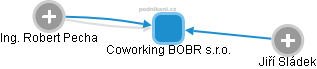 Coworking BOBR s.r.o. - náhled vizuálního zobrazení vztahů obchodního rejstříku