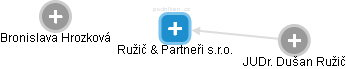 Ružič & Partneři s.r.o. - náhled vizuálního zobrazení vztahů obchodního rejstříku