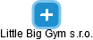 Little Big Gym s.r.o. - náhled vizuálního zobrazení vztahů obchodního rejstříku