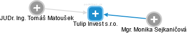 Tulip Invest s.r.o. - náhled vizuálního zobrazení vztahů obchodního rejstříku
