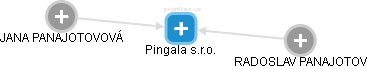 Pingala s.r.o. - náhled vizuálního zobrazení vztahů obchodního rejstříku
