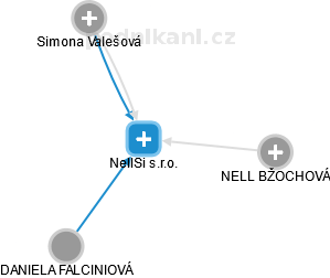 NellSi s.r.o. - náhled vizuálního zobrazení vztahů obchodního rejstříku