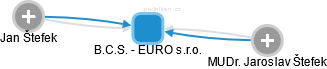 B.C.S. - EURO s.r.o. - náhled vizuálního zobrazení vztahů obchodního rejstříku