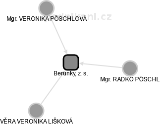 Berunky, z. s. - náhled vizuálního zobrazení vztahů obchodního rejstříku