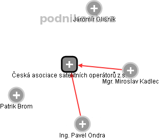 Česká asociace satelitních operátorů z.s. - náhled vizuálního zobrazení vztahů obchodního rejstříku