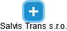 Salvis Trans s.r.o. - náhled vizuálního zobrazení vztahů obchodního rejstříku
