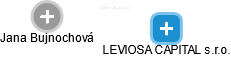 LEVIOSA CAPITAL s.r.o. - náhled vizuálního zobrazení vztahů obchodního rejstříku