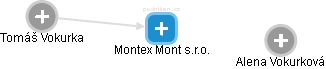 Montex Mont s.r.o. - náhled vizuálního zobrazení vztahů obchodního rejstříku