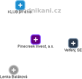 Pinecreek Invest, a.s. - náhled vizuálního zobrazení vztahů obchodního rejstříku