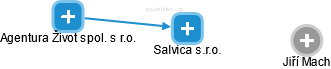 Salvica s.r.o. - náhled vizuálního zobrazení vztahů obchodního rejstříku