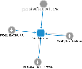Vinuba s.r.o. - náhled vizuálního zobrazení vztahů obchodního rejstříku