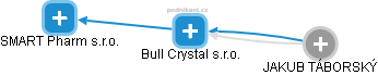 Bull Crystal s.r.o. - náhled vizuálního zobrazení vztahů obchodního rejstříku