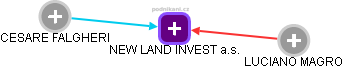 NEW LAND INVEST a.s. - náhled vizuálního zobrazení vztahů obchodního rejstříku