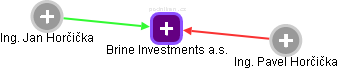 Brine Investments a.s. - náhled vizuálního zobrazení vztahů obchodního rejstříku