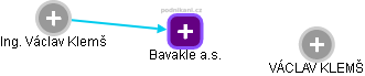 Bavakle a.s. - náhled vizuálního zobrazení vztahů obchodního rejstříku