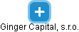 Ginger Capital, s.r.o. - náhled vizuálního zobrazení vztahů obchodního rejstříku