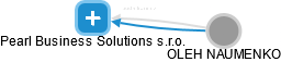 Pearl Business Solutions s.r.o. - náhled vizuálního zobrazení vztahů obchodního rejstříku