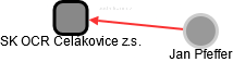 SK OCR Čelákovice z.s. - náhled vizuálního zobrazení vztahů obchodního rejstříku